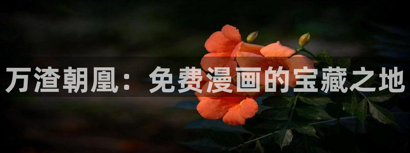 虫虫漫画免费漫