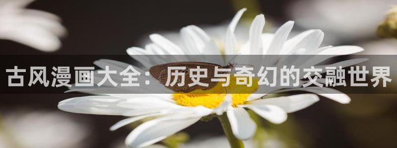 虫虫漫画韩国在线观看：古风漫画大全：历史与奇幻的交融世界