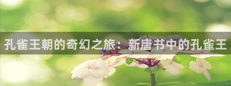 汗汗虫虫漫画免费版下拉式漫画网：孔雀王朝的奇幻之旅：新唐书中的孔雀王